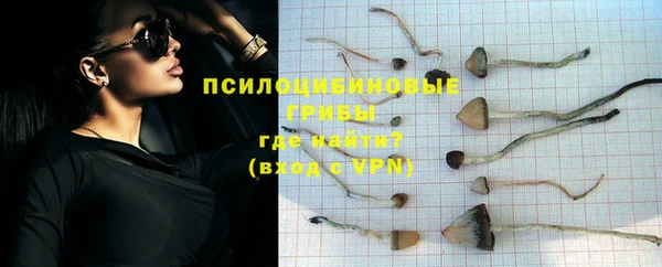СК Армянск