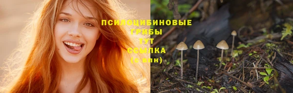 mdpv Абаза